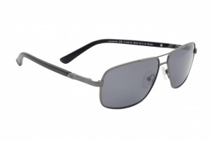 POLAR ONE