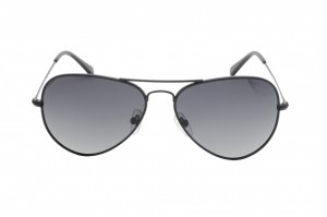 POLAR ONE